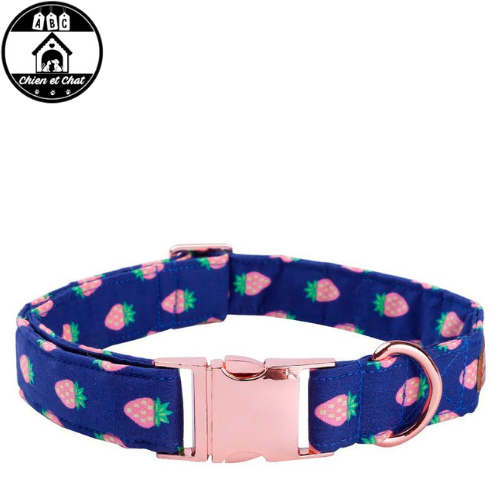 nœud papillon élégant pour chien nœud papillon pour york nœud papillon pour tekel nœud papillon pour labrador nœud papillon pour cocker nœud papillon pour chiot pas cher nœud papillon pour chiot nœud papillon pour chien pas cher nœud papillon pour chien nœud papillon pour chat nœud papillon pour cadeau chien nœud papillon pour boxer nœud papillon pour bouledogue français nœud papillon pour bouledogue nœud papillon pour bichon