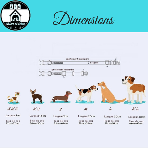 collier laisse luxe pour chien miniature collier laisse luxe pour chien collier laisse chic pour chien collier et laisse assortie pour chien collier chien pas cher collier chien elegant collier chien elegance collier chien bouledogue collier avec nœud papillon collier avec noeud papillon pour chiot collier avec noeud papillon pour chien accessoires luxe pour chien accessoire fashion pour chihuahua accessoire fashion pour chien accessoire de mode pour chien