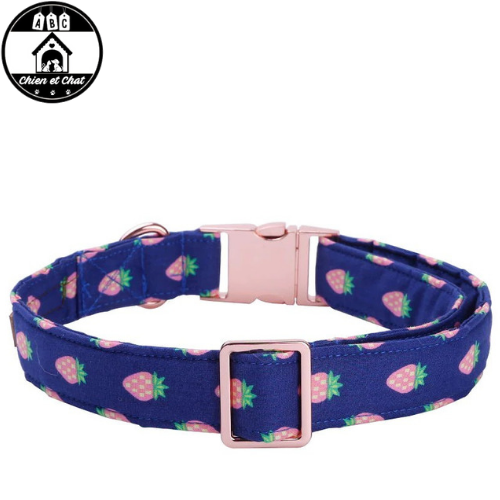 nœud papillon élégant pour chien nœud papillon pour york nœud papillon pour tekel nœud papillon pour labrador nœud papillon pour cocker nœud papillon pour chiot pas cher nœud papillon pour chiot nœud papillon pour chien pas cher nœud papillon pour chien nœud papillon pour chat nœud papillon pour cadeau chien nœud papillon pour boxer nœud papillon pour bouledogue français nœud papillon pour bouledogue nœud papillon pour bichon