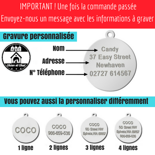 Chien perdu trouvé Médaillon Médaille pour chien originale Médaille pour chien acier inoxydable Médaille pour chat originale Médaille pour chat acier inoxydable Médaille identification chien Médaille identification chat Médaille chien personalisé Médaille chien pas cher Médaille chien gravée Médaille chat personalisé Médaille chat pas cher Médaille chat gravée Médaille animaux Médaille Identité