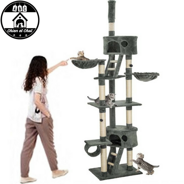 Arbre À Chat Géant