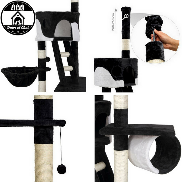 Arbre À Chat Géant