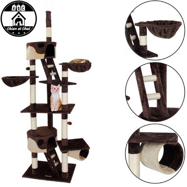 Arbre À Chat Géant