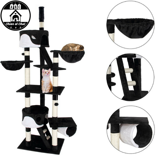 Arbre À Chat Géant