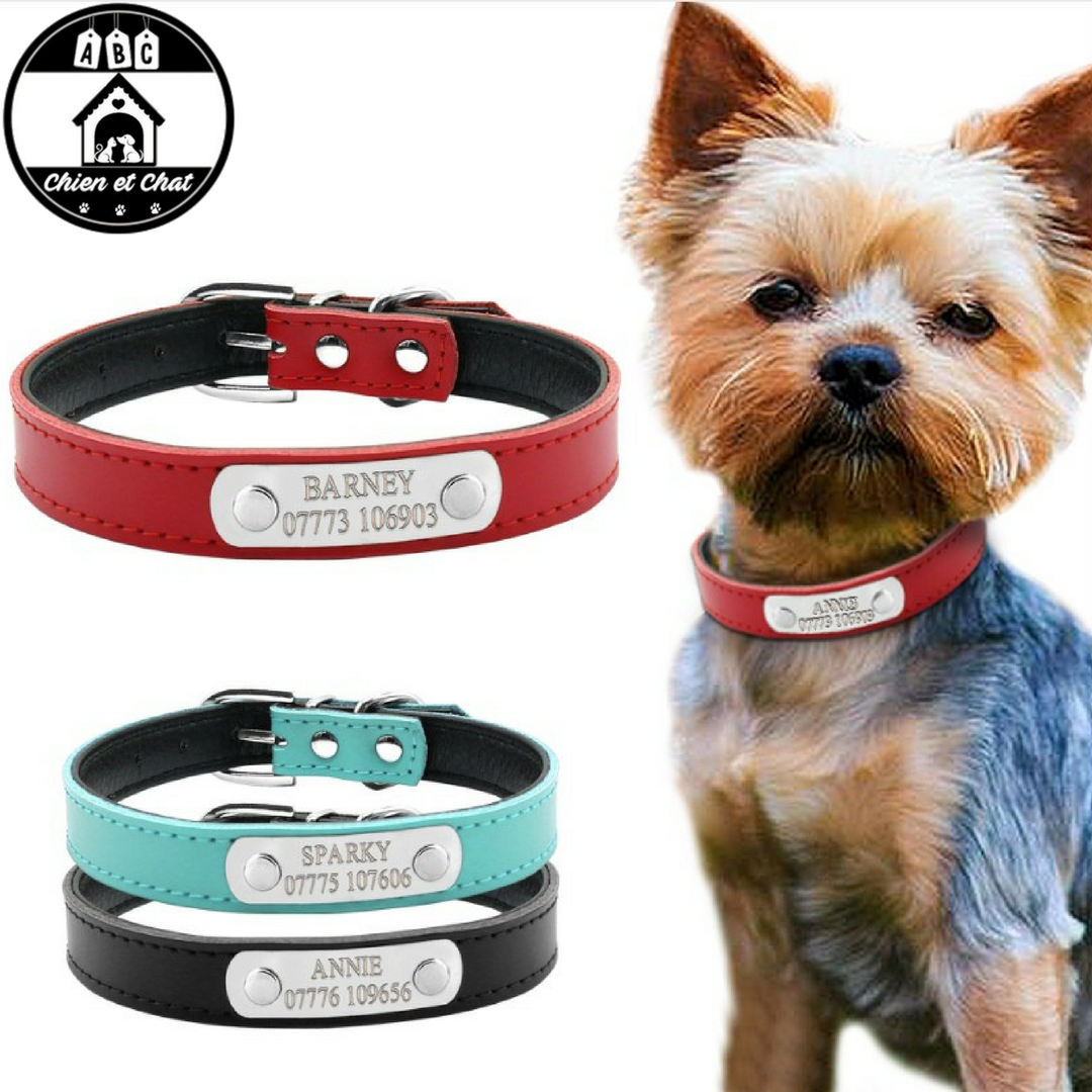 Ensemble accessoire avec collier personnalisé pour chien - ABC chiens