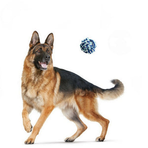 jouet chien indestrutible, balle pour chien, jouet de nuit pour chien, balle solide pour chien, jouet chien, jouet pour chien, balle pour chien