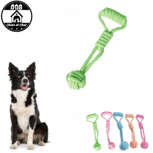 meilleur jouet pour chien jouets pour chien pas cher jouets pour chien balle corde jouet à mâcher pour chiens jouet pour molosses jouet pour molosse jouet pour chien résistant jouet pour chien pas cher jouet pour chien indestructible jouet pour chien balle corde lancer chien jouet corde pour chiens jouet corde pour chien pas cher jouet corde pour chien jouet balle corde chien pas cher jouet corde chien jeter 