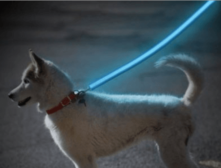 Laisse chien sécurité - Laisse pour chien sécurité - Laisse lumineuse pour la sécurité du chien