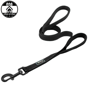 laisse chien robuste laisse chien renforcée laisse chien qui tire laisse chien promenade laisse chien pour la nuit laisse chien poignée laisse chien nuit laisse chien noir laisse chien formation laisse chien en nylon rembourrée laisse chien en nylon laisse chien court laisse chien bleu laisse chien balade Laisse chien anti-agression Laisse anti-agression laisse anti chien qui tire 