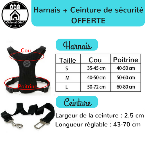 harnais chien traction harnais chien taille réglable harnais chien sécurité harnais chien sport harnais chien souple harnais chien solide harnais chien réglable harnais chien robuste harnais chien polyvalent harnais chien pas cher harnais chien nylon harnais chien confortable harnais chien cani-vtt