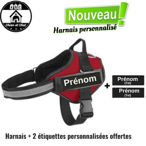 harnais traction chien harnais sécurité chien harnais pour petit chien harnais pour gros chien harnais pour grand chien harnais pour chiot julius harnais pour chiot harnais pour chien nominatif harnais pour chien julius harnais pour chien de petite taille harnais pour chien de grande taille harnais pour chien harnais personnalisé harnais nom chien harnais julius personnalisé harnais julius k9 harnais julius k-9 harnais julius harnais gros chien harnais grand chien