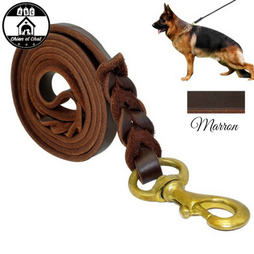 Laisse En Corde Pour Chien, Corde Tressée De Traction Multicolore En Coton Pour Chiens De Taille Moyenne Et Grande 85597005 Laisse En Corde Pour Chien, Corde Tressée De Traction Multicolore En Coton Pour Chiens De Taille Moyenne Et Grande 85597005