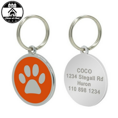 Médaille pour chien ou chat, médaille d'identification pour chat à QR Code  - Morin France