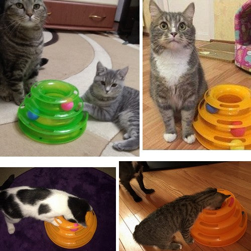 meilleur jouet pour chaton meilleur jouet pour chat meilleur jeu pour chaton meilleur jeu pour chat jouets pour chats jouets pour chatons jouets pour chat jouet prefere des chats jouet pour plusieurs chats jouet pour plusieurs chatons jouet pour chats