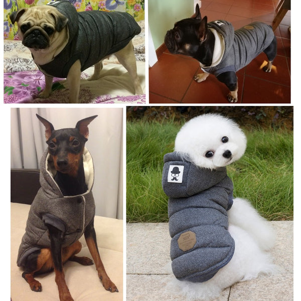 Vêtement pour chien, manteau pour chien, sweat pour chien, sweat à capuche pour chien, pull pour chien, blouson pour chien, doudoune pour chien, manteau chaud pour chien, vêtement chaud pour chien