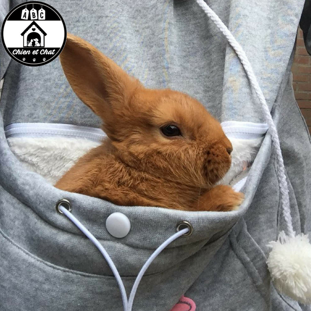 Sweat a capuche Chat avec poche kangourou Livraison Gratuite ABC Chien et Chat