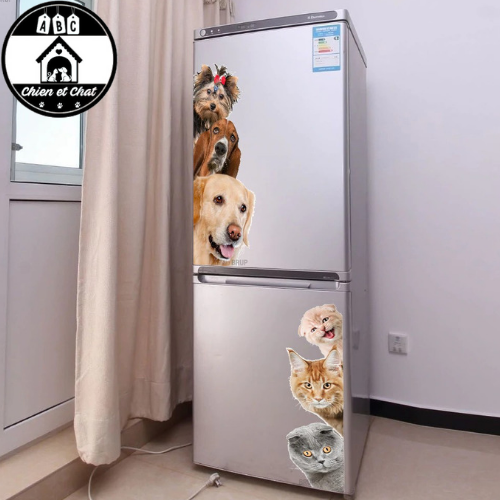 Autocollants Chiens Teckel 3D - Pack De 2 Stickers Vinyle Grand Format, Amovibles, Pour Mur, Frigo, Voiture - 5