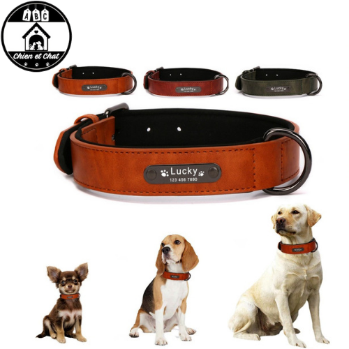 Ensemble accessoire avec collier personnalisé pour chien - ABC chiens