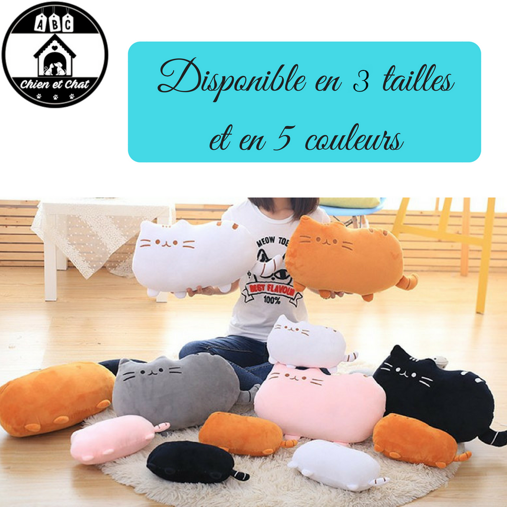 Peluche chat shop pour bebe