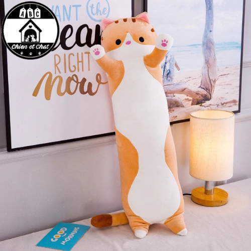Peluche on sale pour chaton