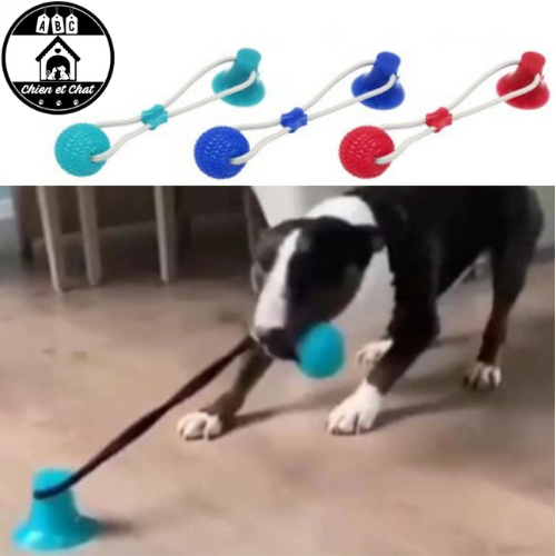 Jouet durable pour occuper son Chien