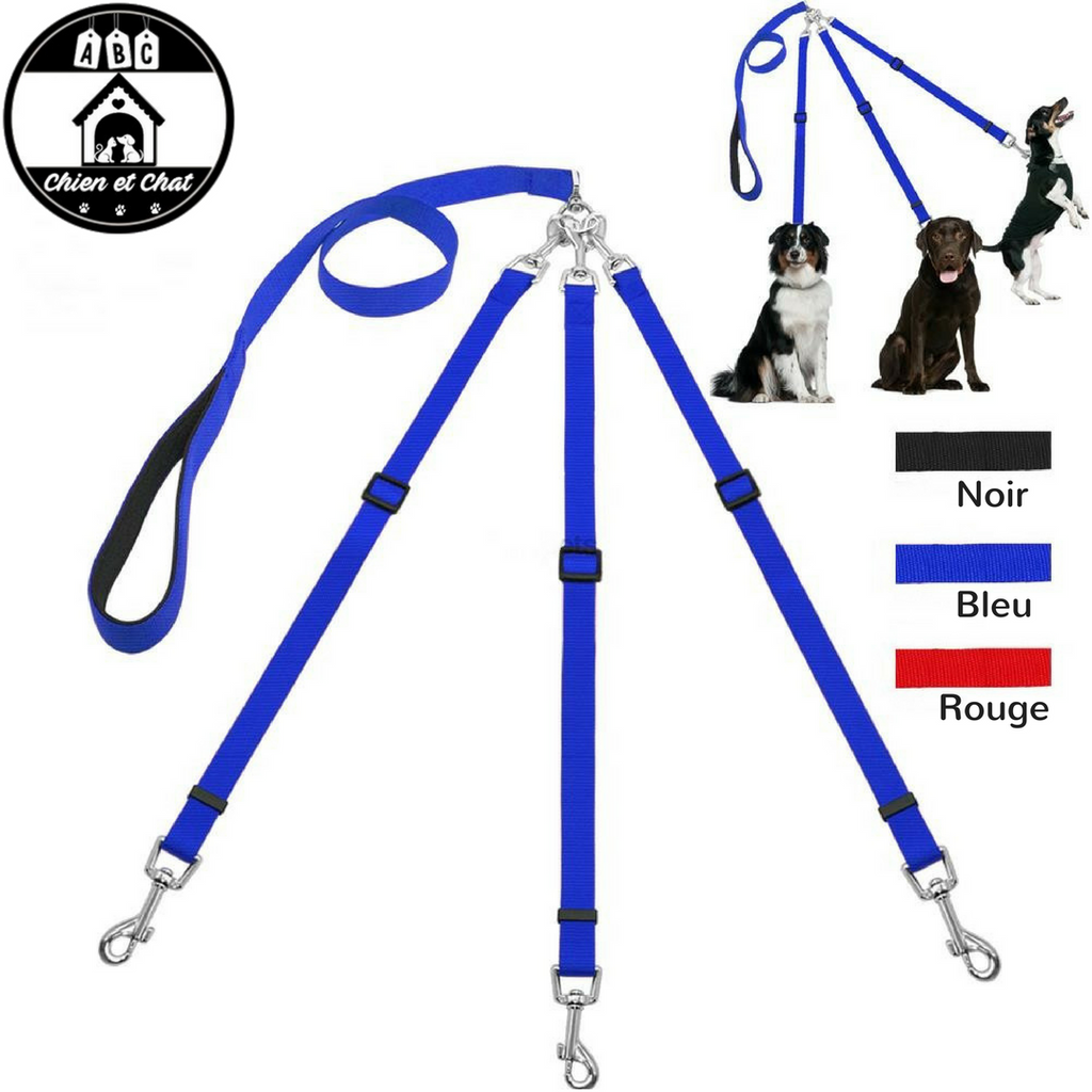 Laisse Retriever - bleu - 140 cm - laisse pour chien respectueuse des  animaux - chaîne