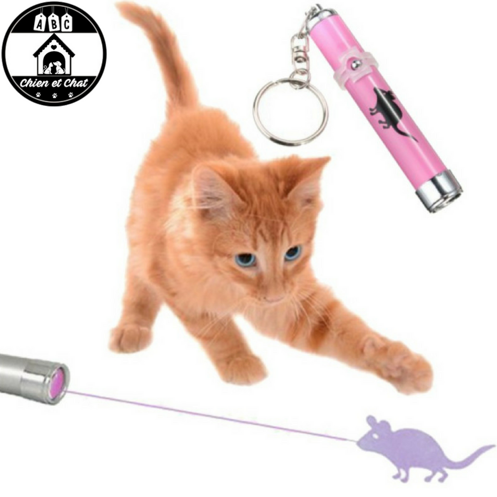 https://abcchienetchat.com/cdn/shop/products/laser_chat_forme_souris_4_1024x1024.png?v=1520935324