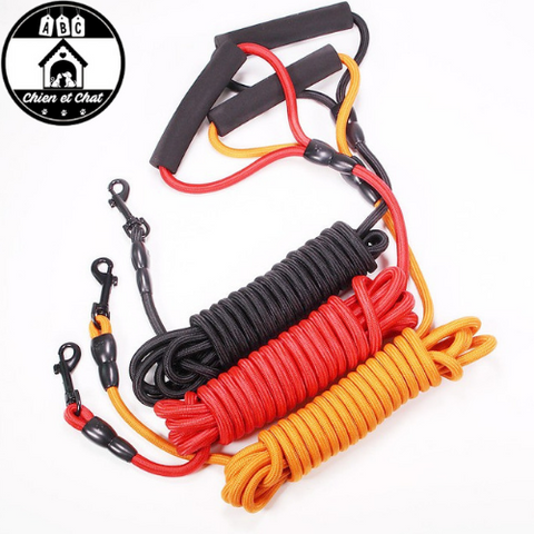 longe rappel chien  longe pour petit chien  longe pour education canine  longe pour chien avec poignée  longe pour chien  longe pour balader le chien  longe en nylon pour chien  longe de dressage pour chiot  longe de dressage pour chiens  longe de dressage pour chien  longe de balade pour chien  longe chien 5m  longe chien 10m  longe 5 mètres pour chien  longe 10m  longe 10 mètres  laisse solide pour chien  laisse solide