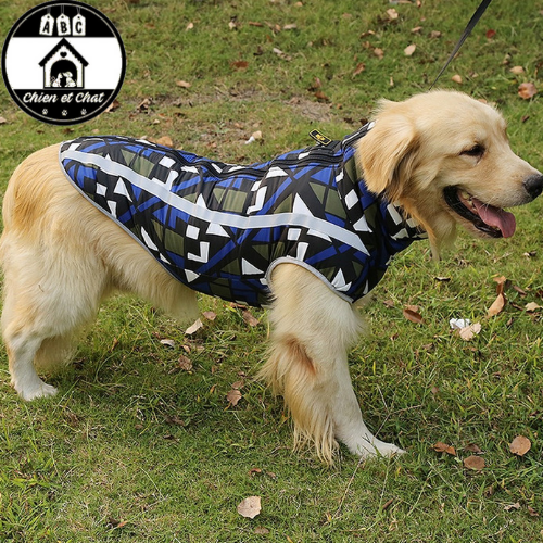 Habit best sale de chien