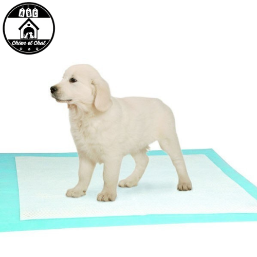 Tapis absorbant et imperméable, réutilisable pour chien - ABC chiens
